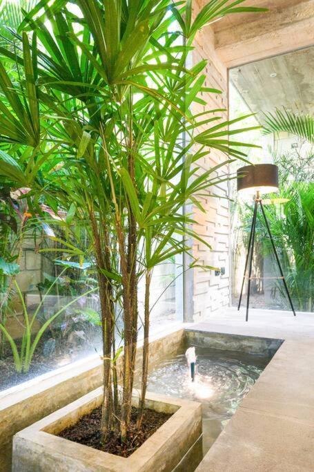 Villa Nimi Architectural Masterpiece Experience Private Pool & Great Concierge Service By Hum Living Тулум Екстер'єр фото