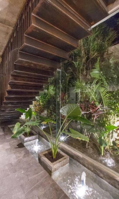 Villa Nimi Architectural Masterpiece Experience Private Pool & Great Concierge Service By Hum Living Тулум Екстер'єр фото